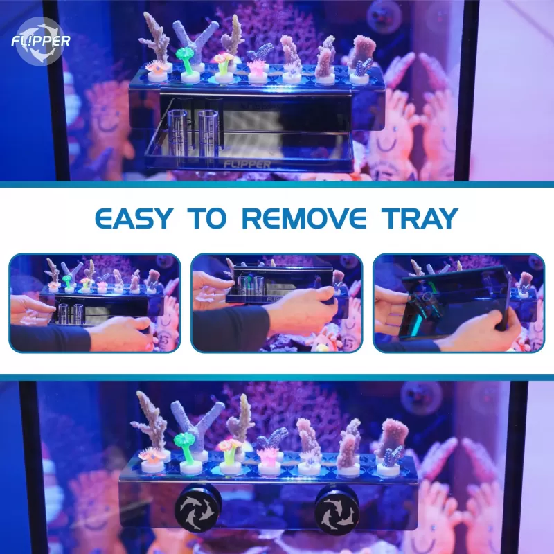 Flipper Frag Station - Black kopen? | Coralandfishstore.nl Flipper Frag Station - Black kopen? | Coralandfishstore.nl
