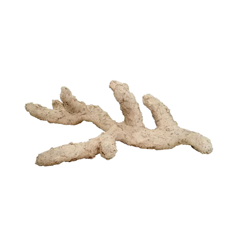 Arka Branched Nature 50 cm kopen? | CORALANDFISHSTORE.NL Arka Branched Nature 50 cm kopen? | CORALANDFISHSTORE.NL