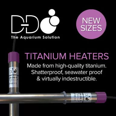 DD Titanium Heater - 150W kopen? Coralandfishstore.nl