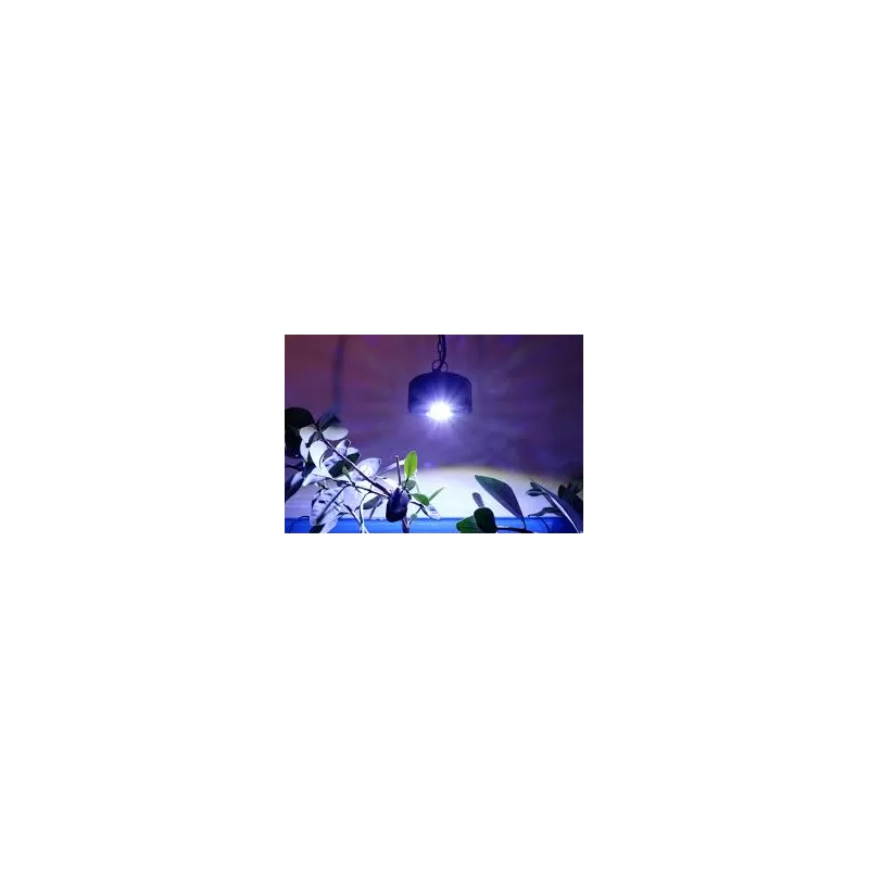 Möchten Sie Kessil - LED A360X Tuna Blue kaufen? Coralandfishstore.nl Möchten Sie Kessil - LED A360X Tuna Blue kaufen? Coralandfishstore.nl