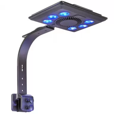 Möchten Sie Maxspect Jump LED Blue-Leuchte 65 Watt kaufen? | Coralandfishstore.nl