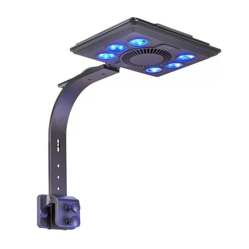 Möchten Sie Maxspect Jump LED Blue-Leuchte 65 Watt kaufen? | Coralandfishstore.nl