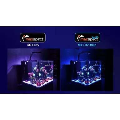 Möchten Sie Maxspect Jump LED Blue-Leuchte 65 Watt kaufen? | Coralandfishstore.nl