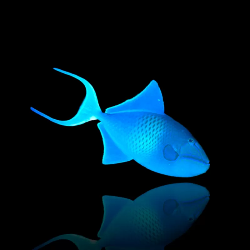 Odonus Niger - Blauwe trekkersvis kopen? | Coralandfishstore.nl Odonus Niger - Blauwe trekkersvis kopen? | Coralandfishstore.nl