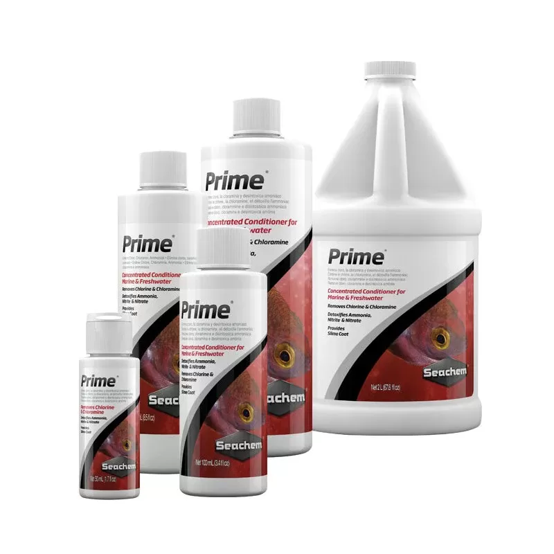 Möchten Sie Seachem Prime kaufen? | Coralandfishstore.nl Möchten Sie Seachem Prime kaufen? | Coralandfishstore.nl