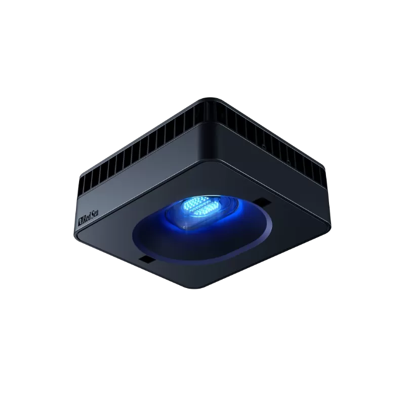Red Sea Reefer 525 G2+ Deluxe Zwart kopen? | Coralandfishstore Red Sea Reefer 525 G2+ Deluxe Zwart kopen? | Coralandfishstore