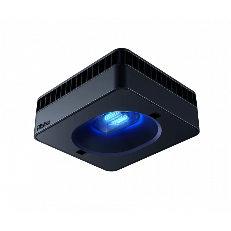 Red Sea Peninsula P500 Deluxe wit | Coralandfishstore.nl Red Sea Peninsula P500 Deluxe wit | Coralandfishstore.nl