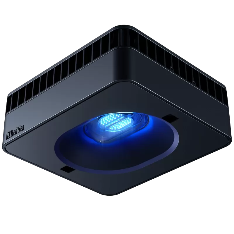 Red Sea Reefer-S Deluxe 850 Black bestellen? l Coralandfishstore.nl Red Sea Reefer-S Deluxe 850 Black bestellen? l Coralandfishstore.nl