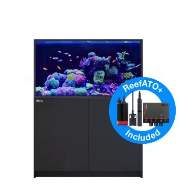 Red Sea REEFER S-550 G2+ Deluxe – Schwarz inkl. LED| Coralandfishstore.nl