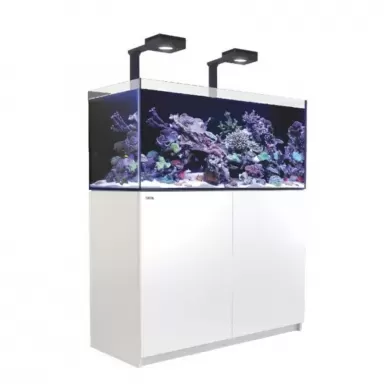 Red Sea REEFER S-550 G2+ Deluxe – Weiß inkl. LED | Coralandfishstore.NL