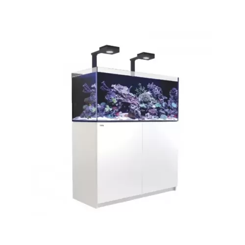 Red Sea REEFER S-550 G2+ Deluxe – Weiß inkl. LED | Coralandfishstore.NL