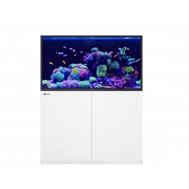 Red Sea REEFER S-550 G2+ Deluxe – Weiß inkl. LED | Coralandfishstore.NL