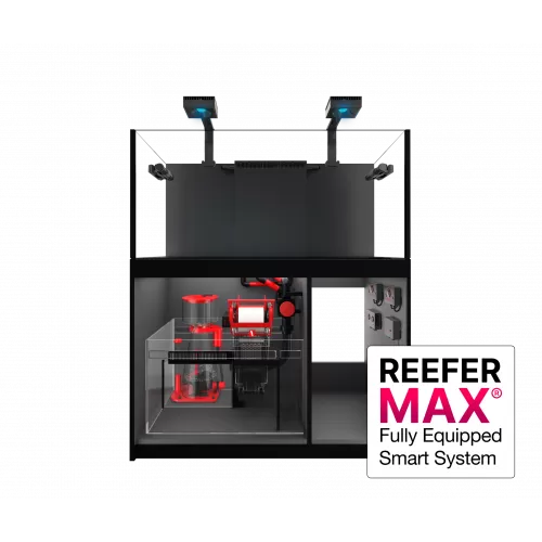 Red Sea REEFER MAX 350 G2+ Komplettsystem | Corallandfishstore