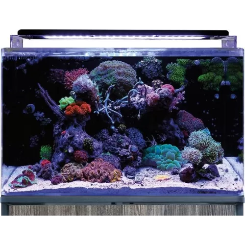 Blue Marine Reef 160