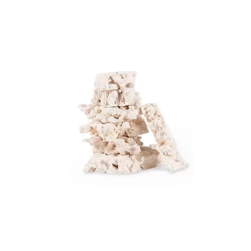 Möchten Sie 2LF Stax 40lb kaufen? | Coralandfishstore.nl Möchten Sie 2LF Stax 40lb kaufen? | Coralandfishstore.nl