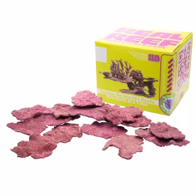 Möchten Sie Real Reef Mini Shelf Rock – 15 Stück kaufen? | Coralandfishstore.nl