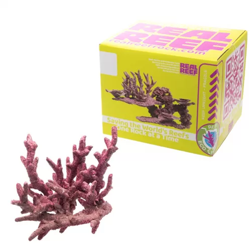 Möchten Sie Real Reef Fancy Branch Rock kaufen? Coralandfishstore.nl