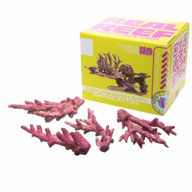 Möchten Sie Real Reef Fancy Branch Rock kaufen? | Coralandfishstore.nl