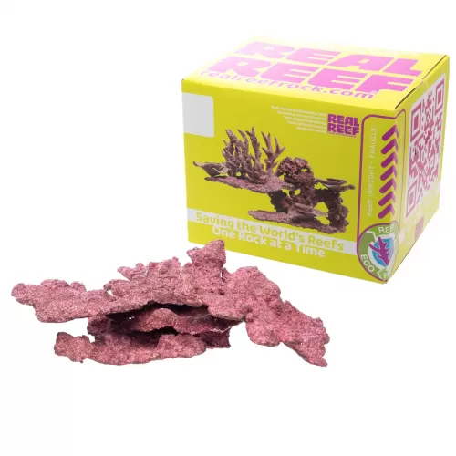 Möchten Sie echtes Riff-Schelfgestein kaufen? Coralandfishstore.nl