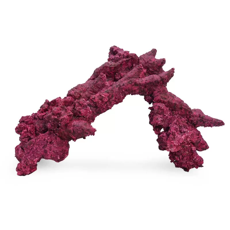 Möchten Sie Real Reef Arches – Extragroß, 2 Stück kaufen? Coralandfishstore.nl Möchten Sie Real Reef Arches – Extragroß, 2 Stück kaufen? Coralandfishstore.nl