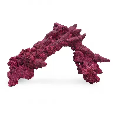Möchten Sie Real Reef Arches – Groß, 4 Stück kaufen? Coralandfishstore.nl