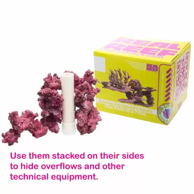 Real Reef Arches - Nano 6 Stück kaufen? Coralandfishstore.nl