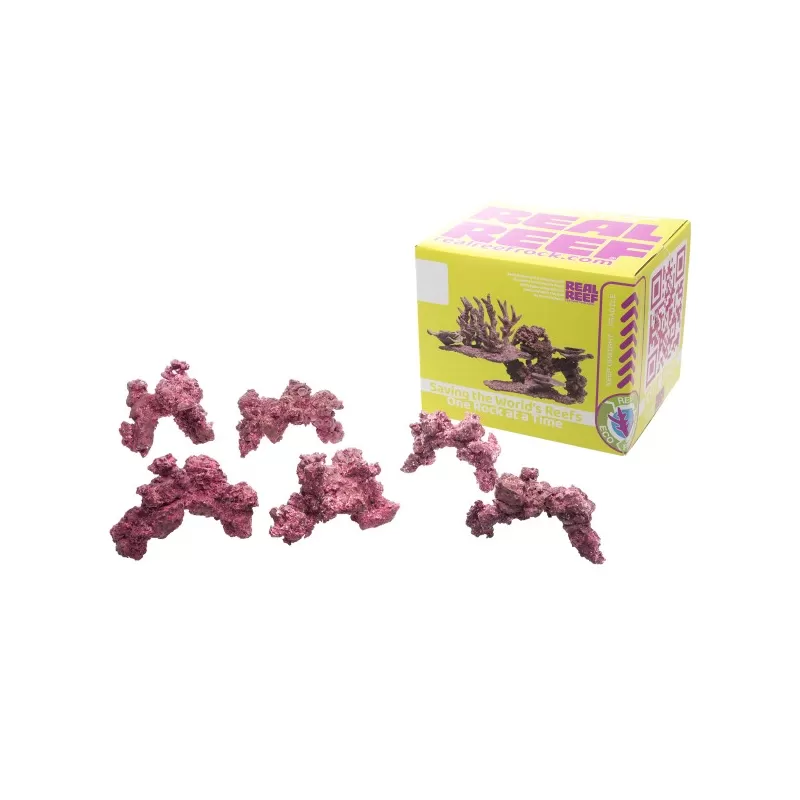Real Reef Arches - Nano 6 stuks Real Reef Arches - Nano 6 stuks