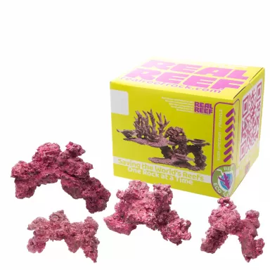 Möchten Sie Real Reef Arches – Medium, 4 Stück kaufen? | Coralandfishstore.nl