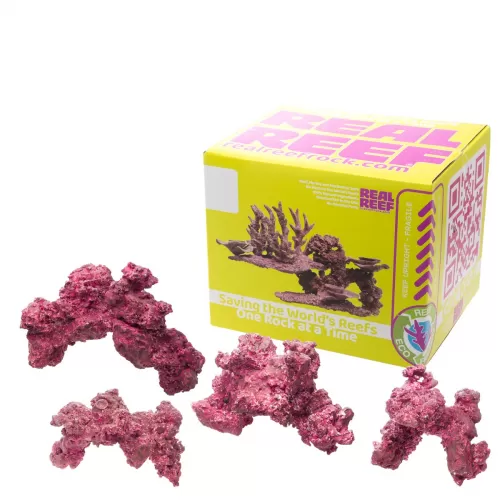 Möchten Sie Real Reef Arches – Medium, 4 Stück kaufen? | Coralandfishstore.nl