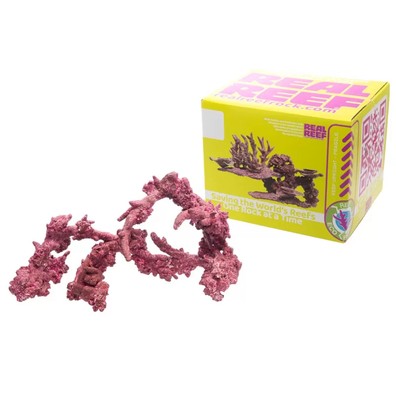 Real Reef Fancy Arches – 4 Stück kaufen? | Coralandfishstore.nl Real Reef Fancy Arches – 4 Stück kaufen? | Coralandfishstore.nl