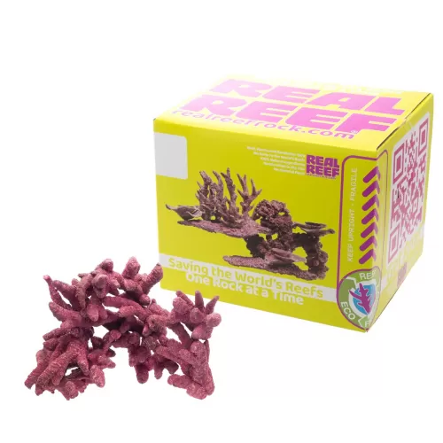 Möchten Sie Real Reef Mini Branched Rock kaufen? | Coralandfishstore.nl