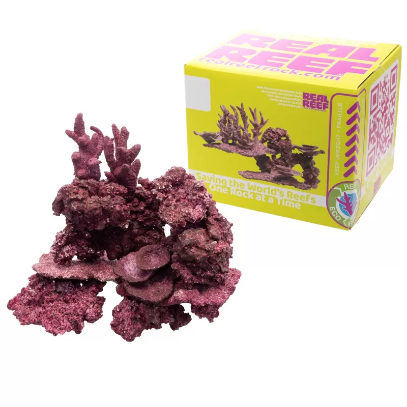 Real Reef Mini Mix - 9-10 stuks kopen? | Coralandfishstore.nl Real Reef Mini Mix - 9-10 stuks kopen? | Coralandfishstore.nl