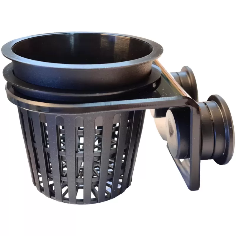 Fauna Marin Anemone Cup Fauna Marin Anemone Cup