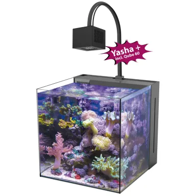 Aqua Medic Yasha+ 60 kopen? Corqlandfishstore.nl