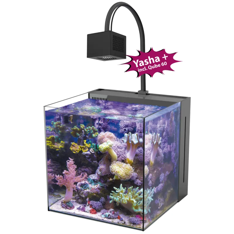 Aqua Medic Yasha+ 60 kopen? Corqlandfishstore.nl Aqua Medic Yasha+ 60 kopen? Corqlandfishstore.nl