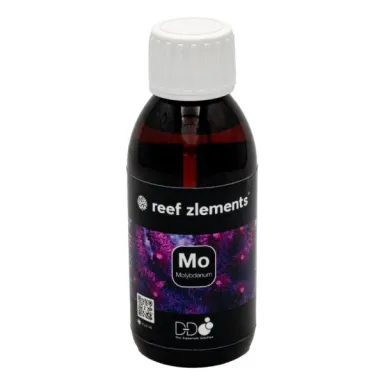 D-D Reef Zlements Mo Molybdenum kopen? | Coralandfishstore.nl