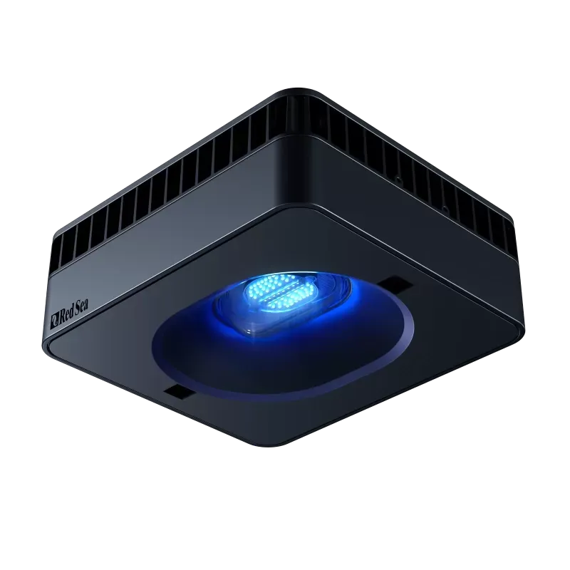 Red Sea MAX NANO G2 Cube kopen? | Coralandfishstore Red Sea MAX NANO G2 Cube kopen? | Coralandfishstore