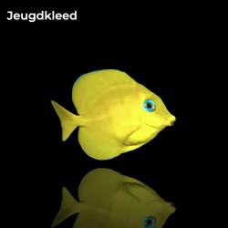Acanthurus Coeruleus JUV (S)