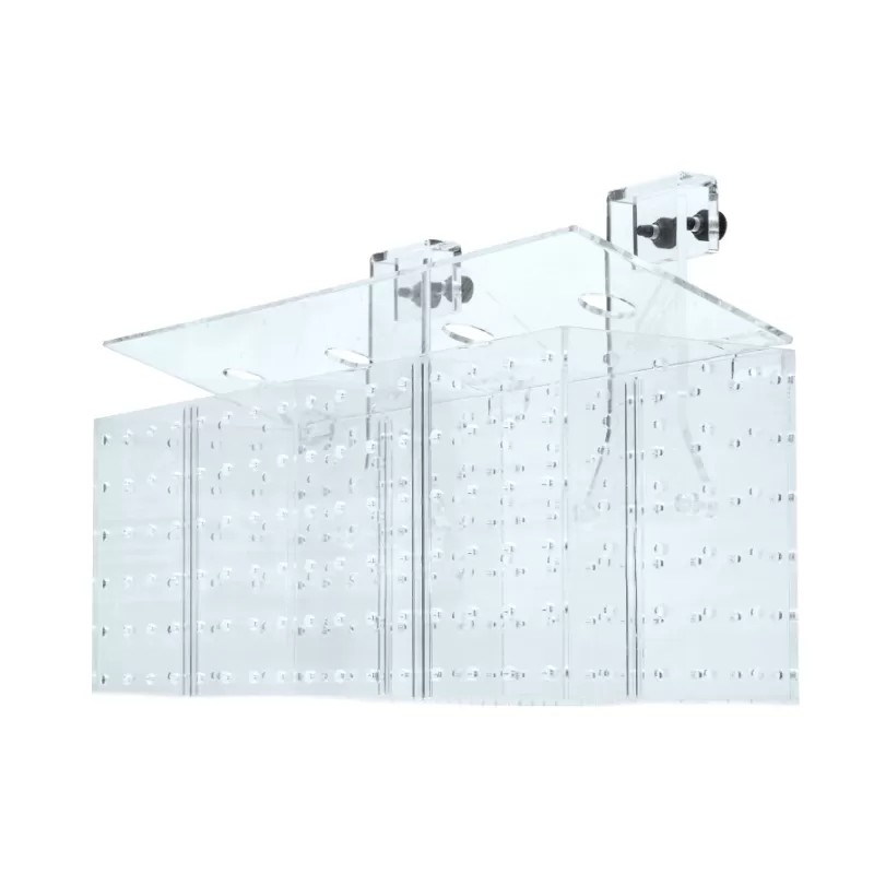 Grotech Acclimation Box - 4 Chambers Grotech Acclimation Box - 4 Chambers