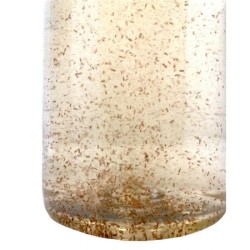 Plankton24 Levende Tigerpods