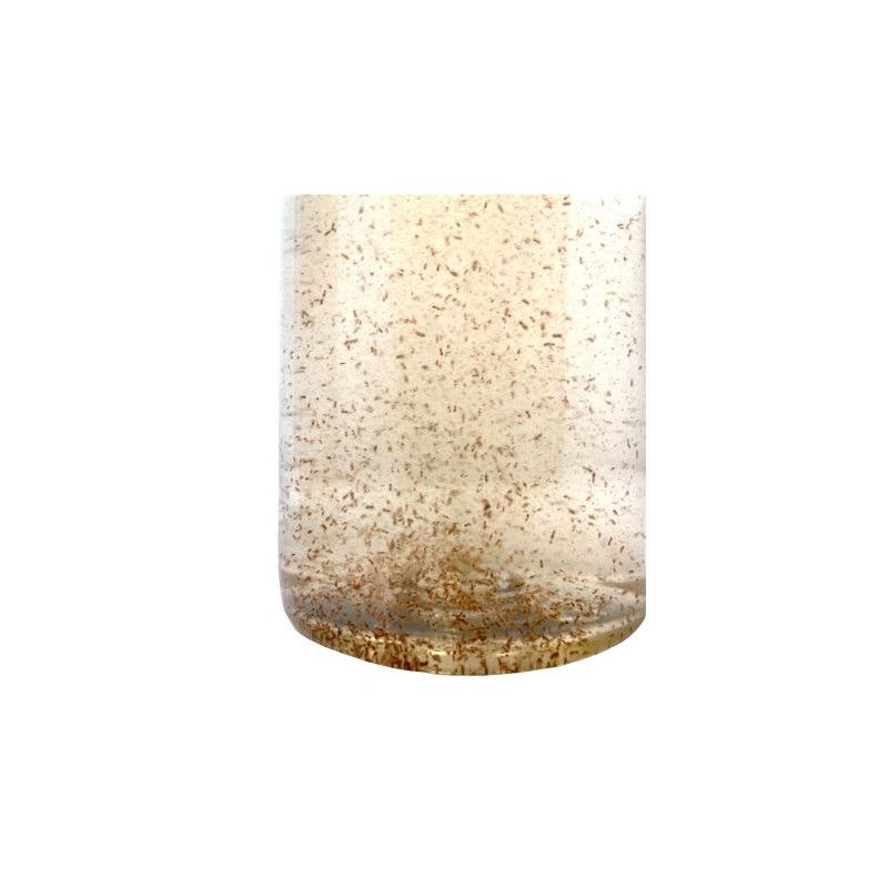 Plankton24 Levende Tigerpods Plankton24 Levende Tigerpods