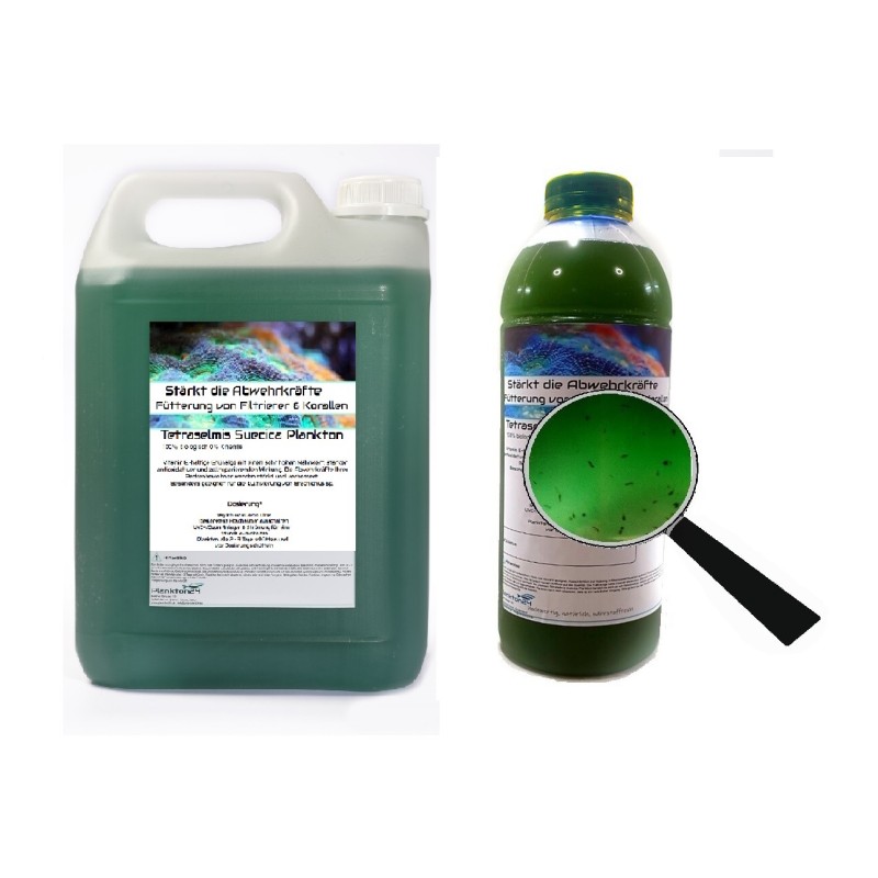 Plankton24 Tetraselmis Suecica met zooplankton 1000ml Plankton24 Tetraselmis Suecica met zooplankton 1000ml