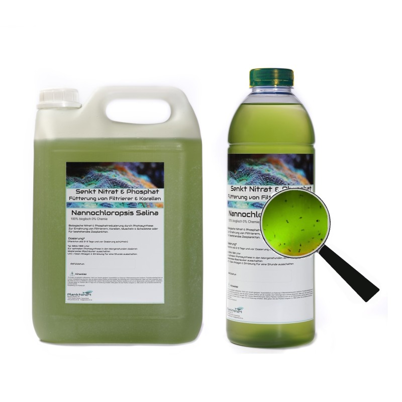 Plankton24 Nannochloropsis Salina met zooplankton 1000ml Plankton24 Nannochloropsis Salina met zooplankton 1000ml