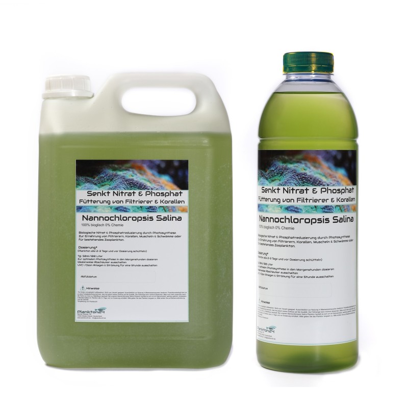 Plankton24 Nannochloropsis Salina 1000ml Plankton24 Nannochloropsis Salina 1000ml