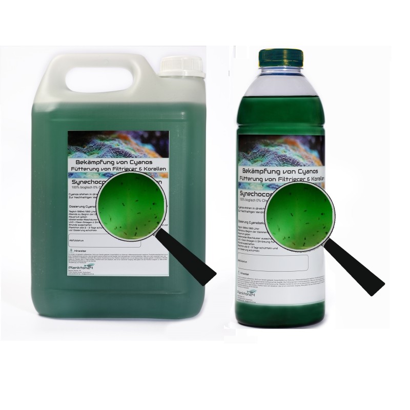Plankton24 synechococcus met bemesting 1000ml Plankton24 synechococcus met bemesting 1000ml