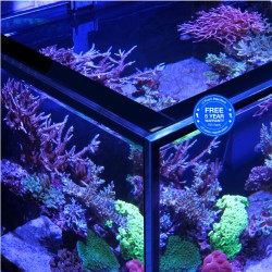 Red Sea REEFER 625 G3 Deluxe - Wit (incl. 2 X RL170 & arms)