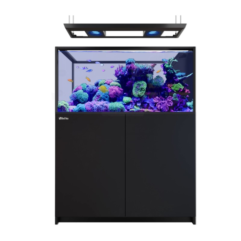 Red Sea REEFER Peninsula 500 G3 Deluxe - Black