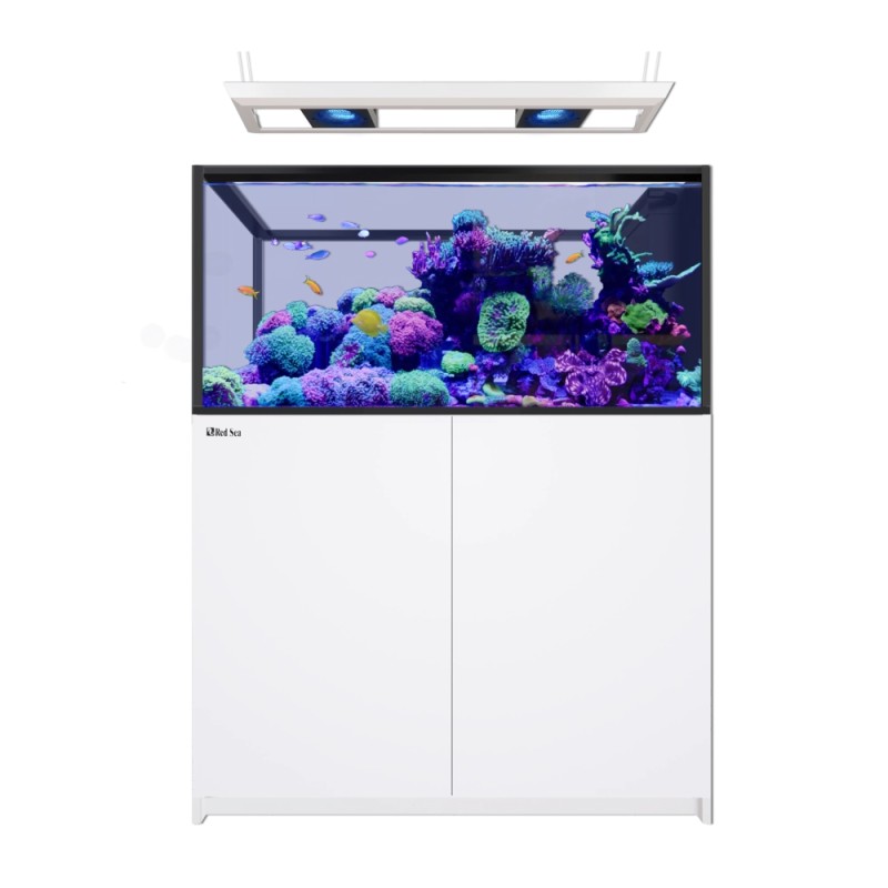 Red Sea REEFER Peninsula 500 G3 Deluxe - Wit
