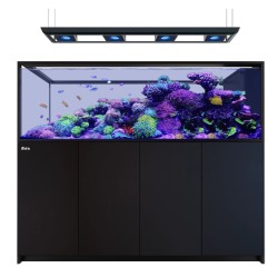Red Sea REEFER Peninsula S 950 G3 Deluxe - Zwart