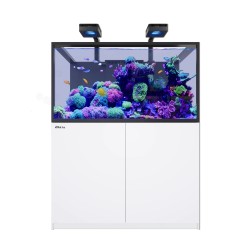 Red Sea REEFER MAX S-550 G3 - Wit